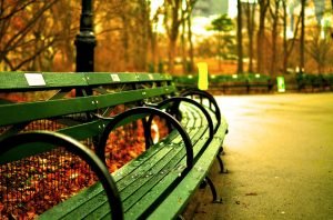 park bench