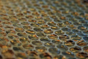 bubble wrapping material