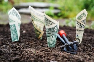 Money buried like plants.