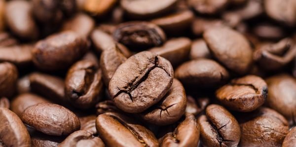 Best coffee shops in suburbs
