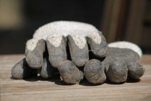 A pair of working gloves