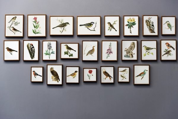 Top suburbs museums to visit