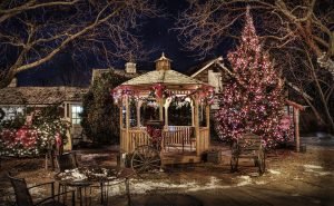 Spending Christmas in suburbs while in a park