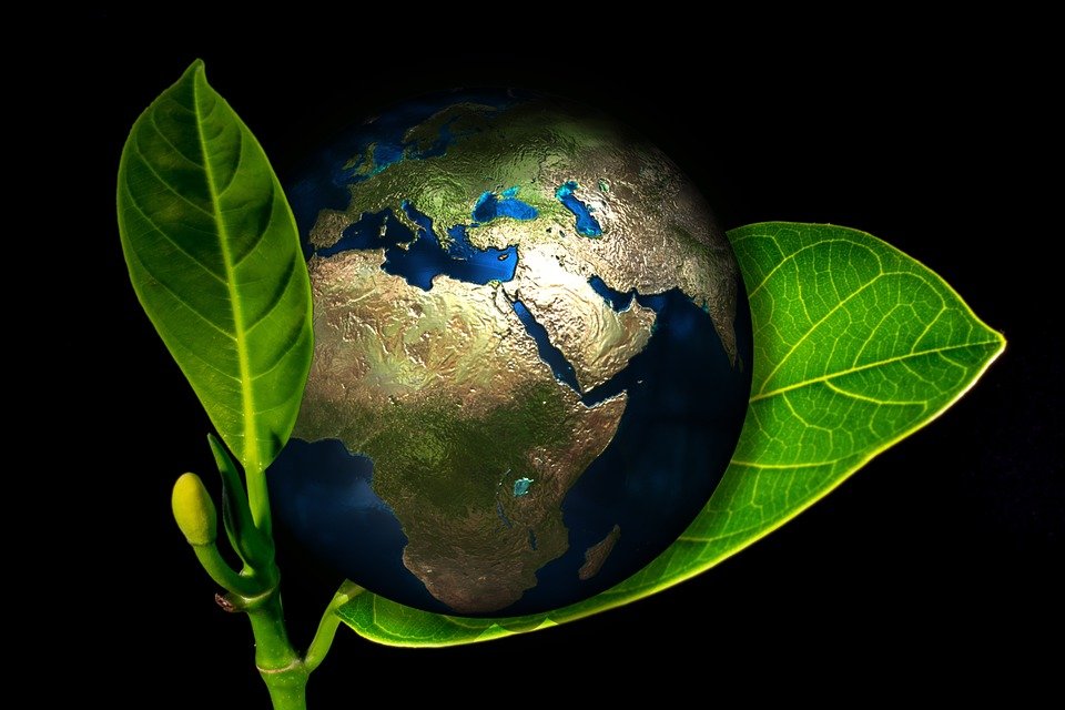 How to make your home more eco-friendly