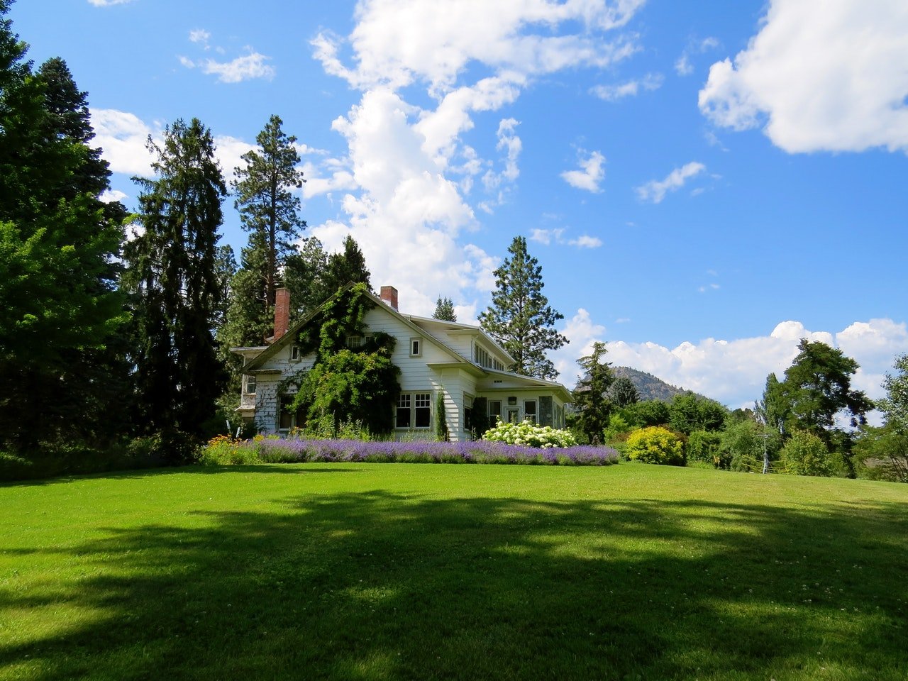 Moving your home garden – tips and tricks