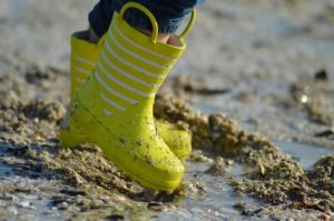 Wet shoe and car tracks can also bring mold in your garage.