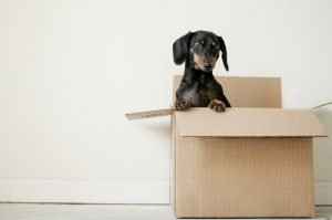 To prepare for Chicago to Miami move, find good moving boxes