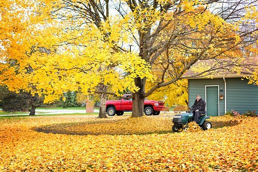 Tips for moving around Chicago during the fall
