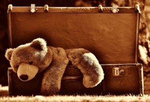 teddy bear in a suitcase