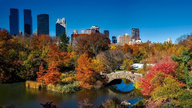 Perfectly autumn things you must do in Chicago this fall