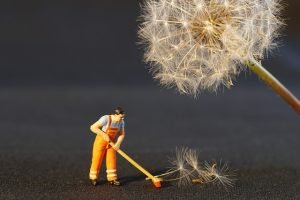 cleaning art