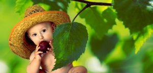 Toddler eating apple
