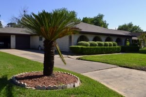 front yard